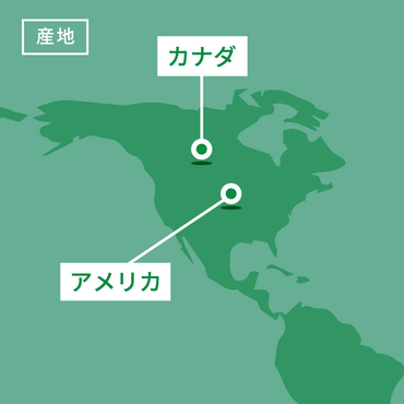 カーリーメープル 厚み8〜11mm ロング