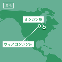 ウォールナット 厚み37〜49mm ショート