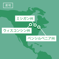 ホワイトオーク 厚み8〜11mm ロング